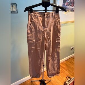 Express Light Brown Cargo Pants
